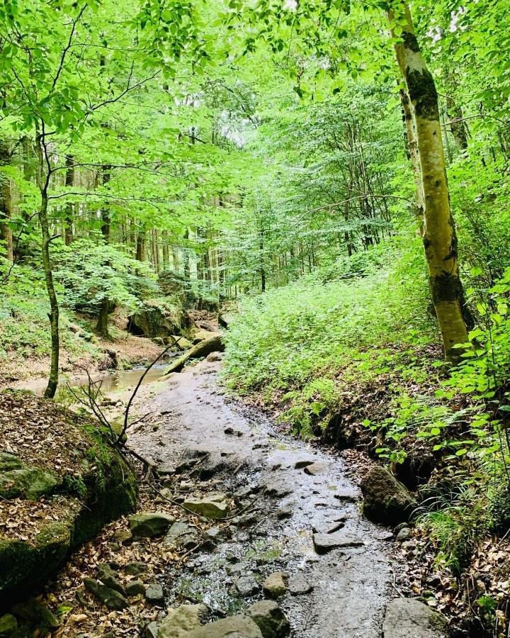 Tailor'S Trail Gite D'Adventure Beaufort Mullerthal Bagian luar foto